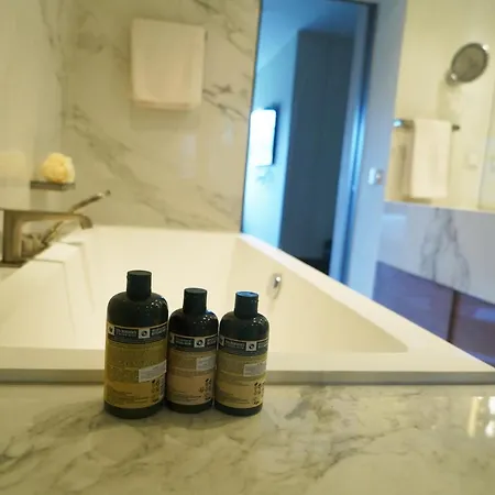Ritz-carlton Appartamento Provincia di Istanbul